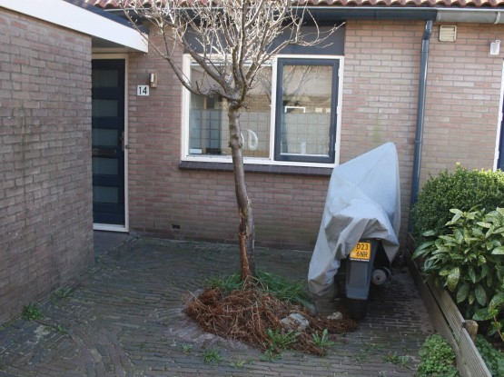 01_Voortuin_recht_voor